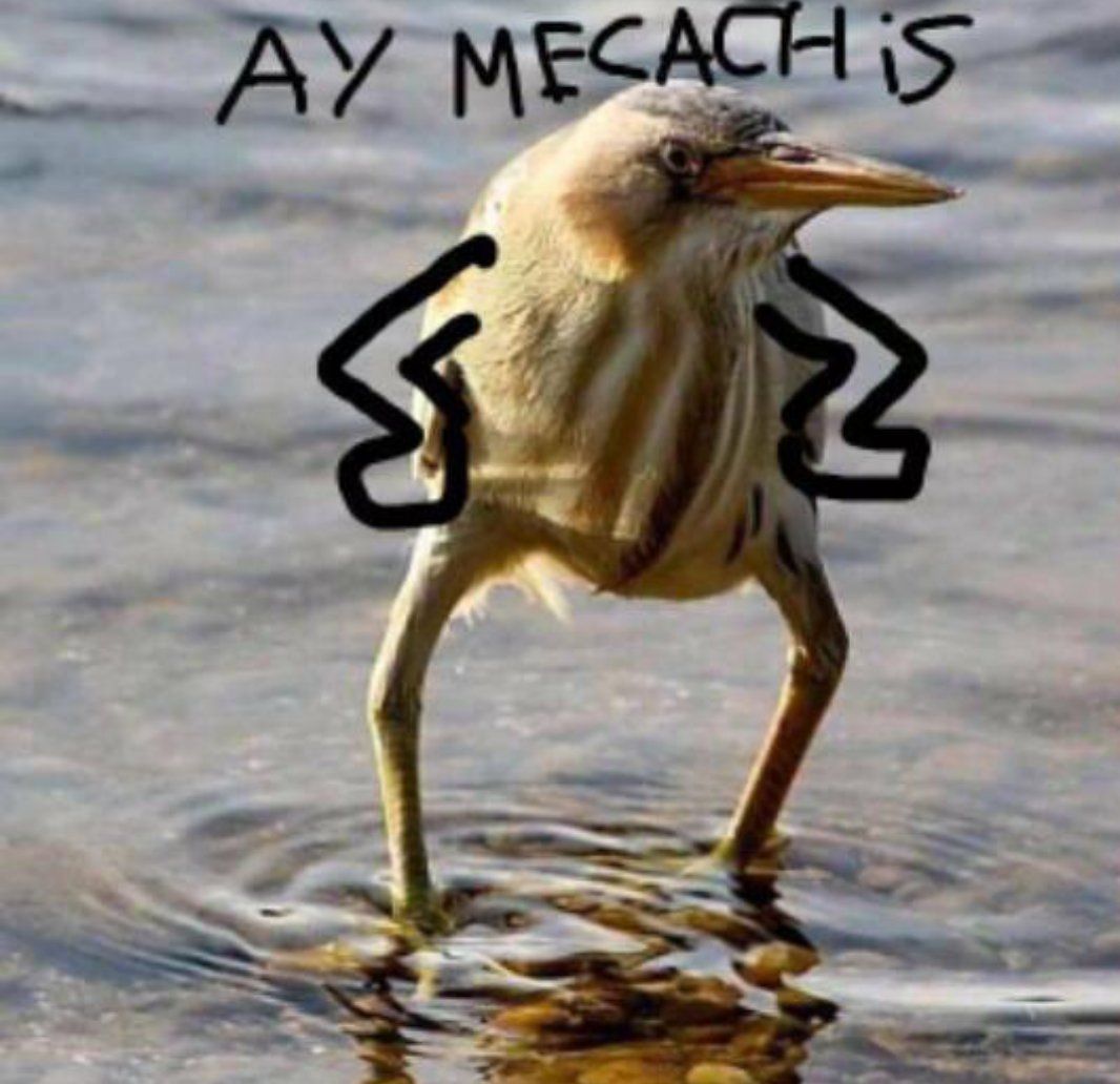 Etiam sit amet orci eget eros faucibus tincidunt